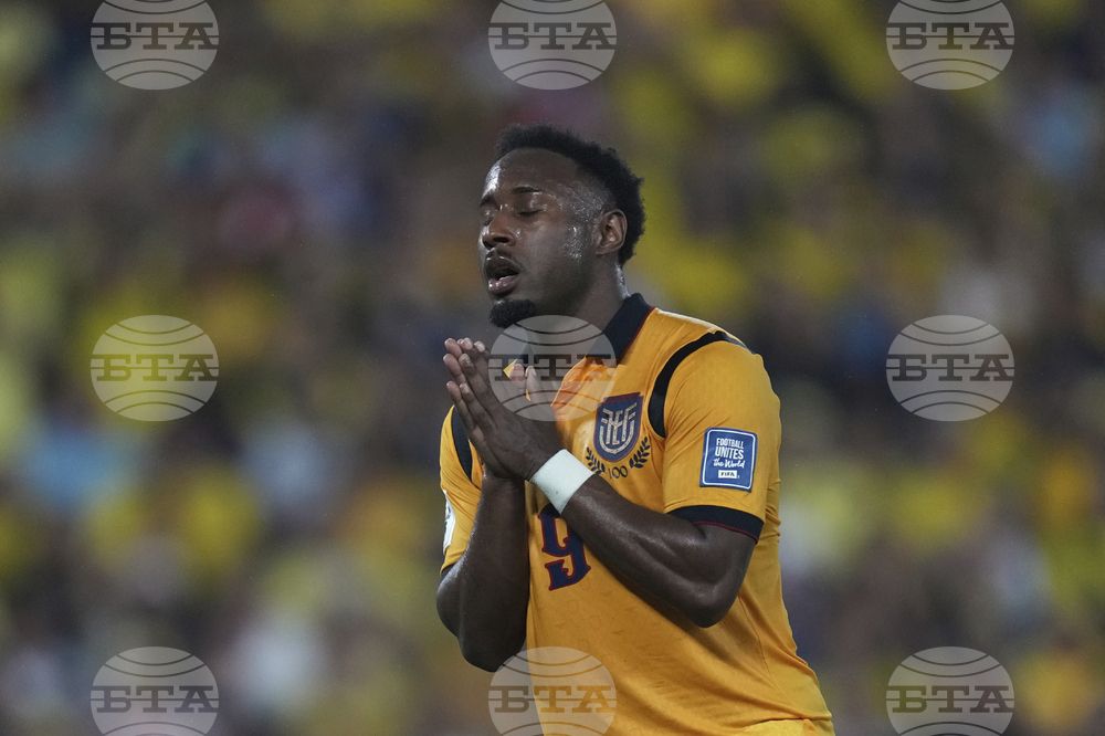 Ecuador Brazil Wcup Soccer