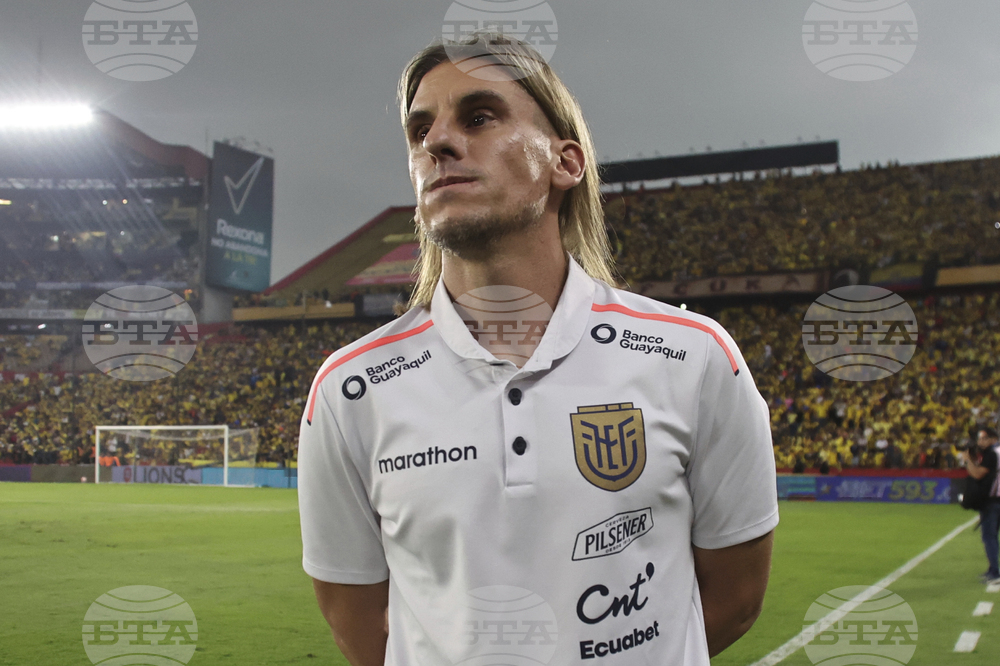 Ecuador Brazil Wcup Soccer