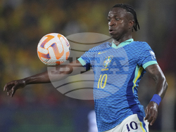 Ecuador Brazil Wcup Soccer