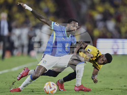 Ecuador Brazil Wcup Soccer