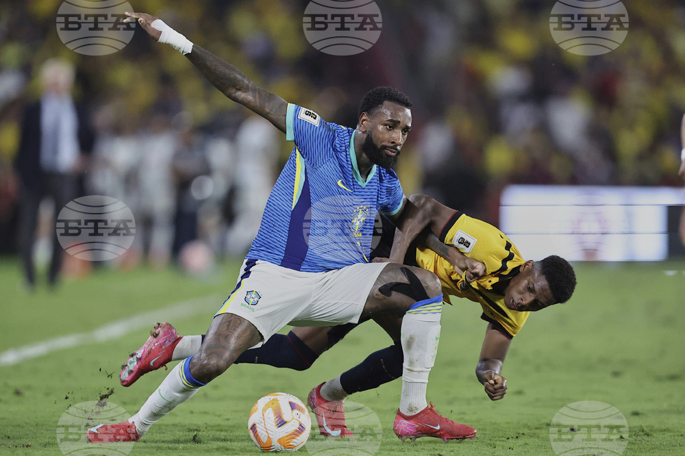 Ecuador Brazil Wcup Soccer