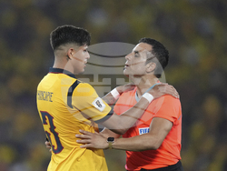 Ecuador Brazil Wcup Soccer