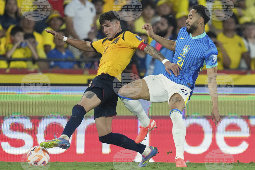 Ecuador Brazil Wcup Soccer