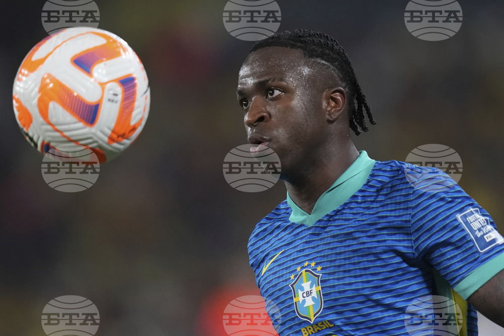 Ecuador Brazil Wcup Soccer
