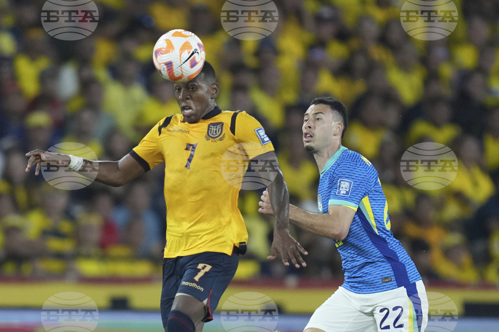 Ecuador Brazil Wcup Soccer