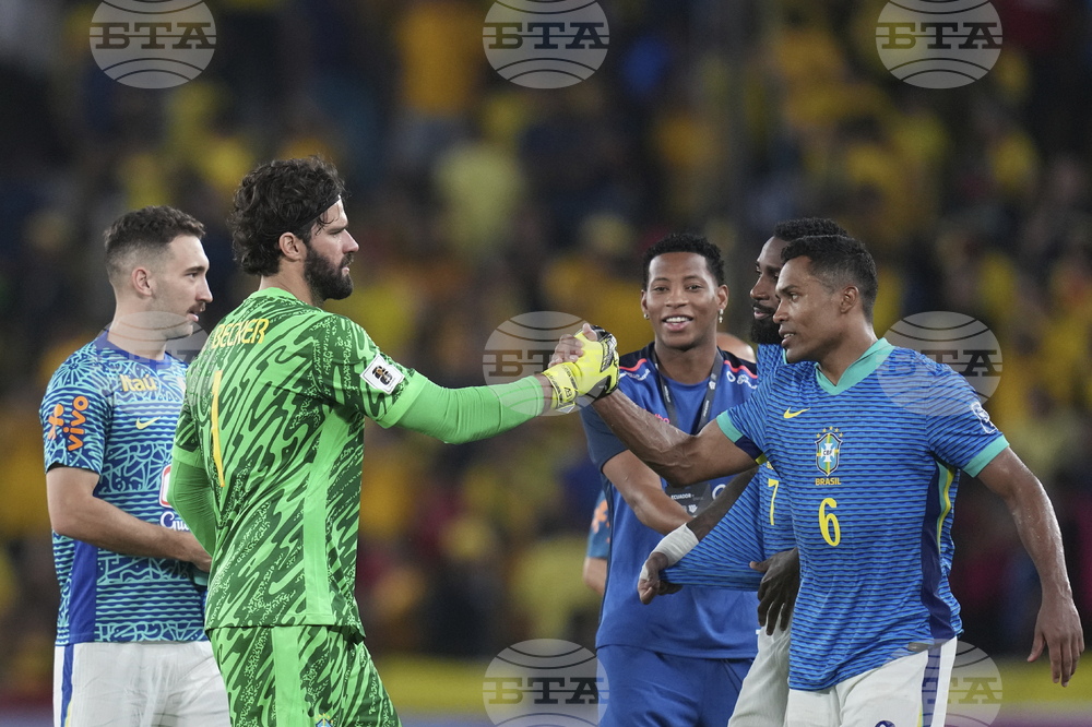 Ecuador Brazil Wcup Soccer