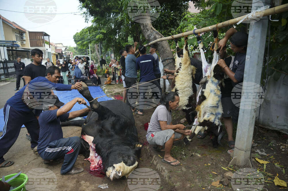 Indonesia Eid al-Adha