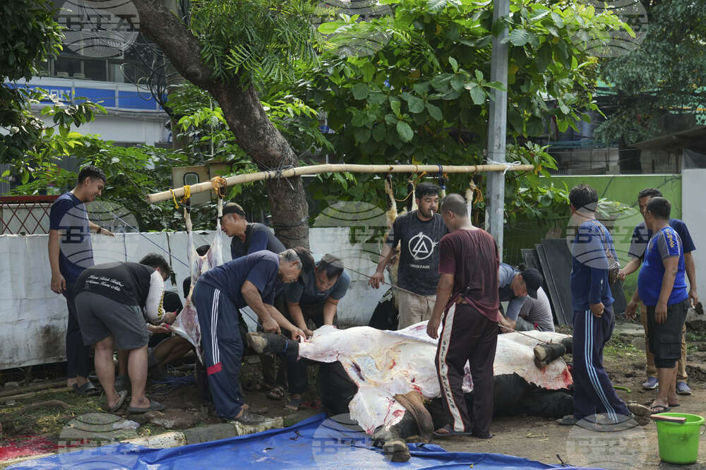 Indonesia Eid al-Adha