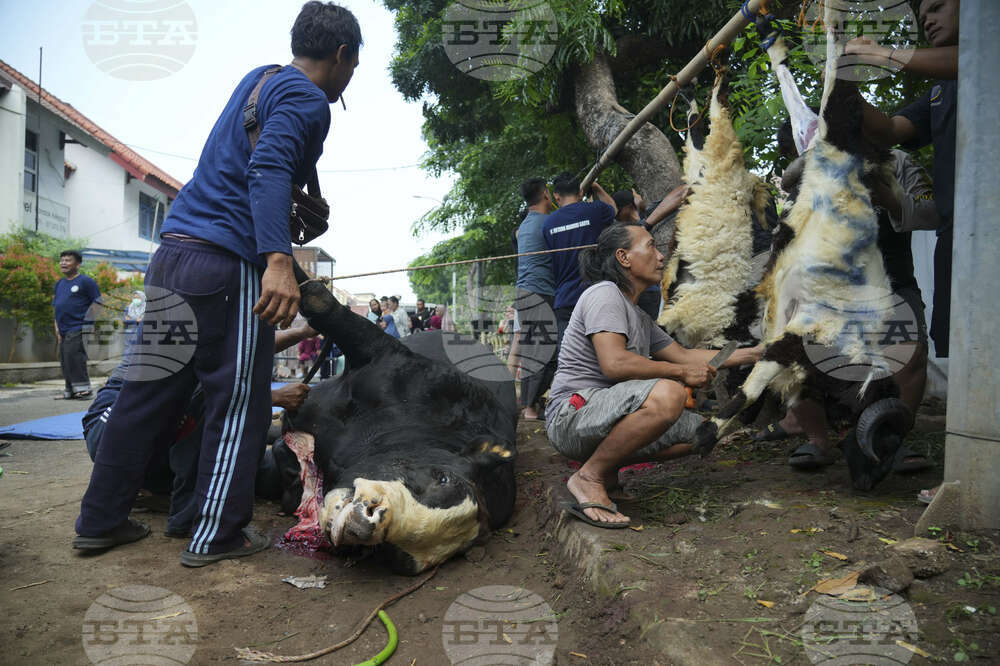 Indonesia Eid al-Adha