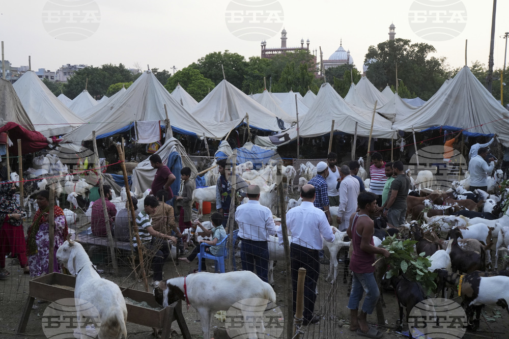 India Eid al Adha