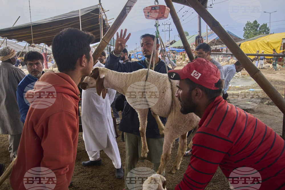 India Kashmir Eid al Adha