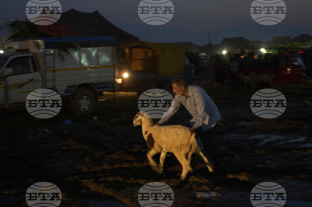 India Kashmir Eid al Adha