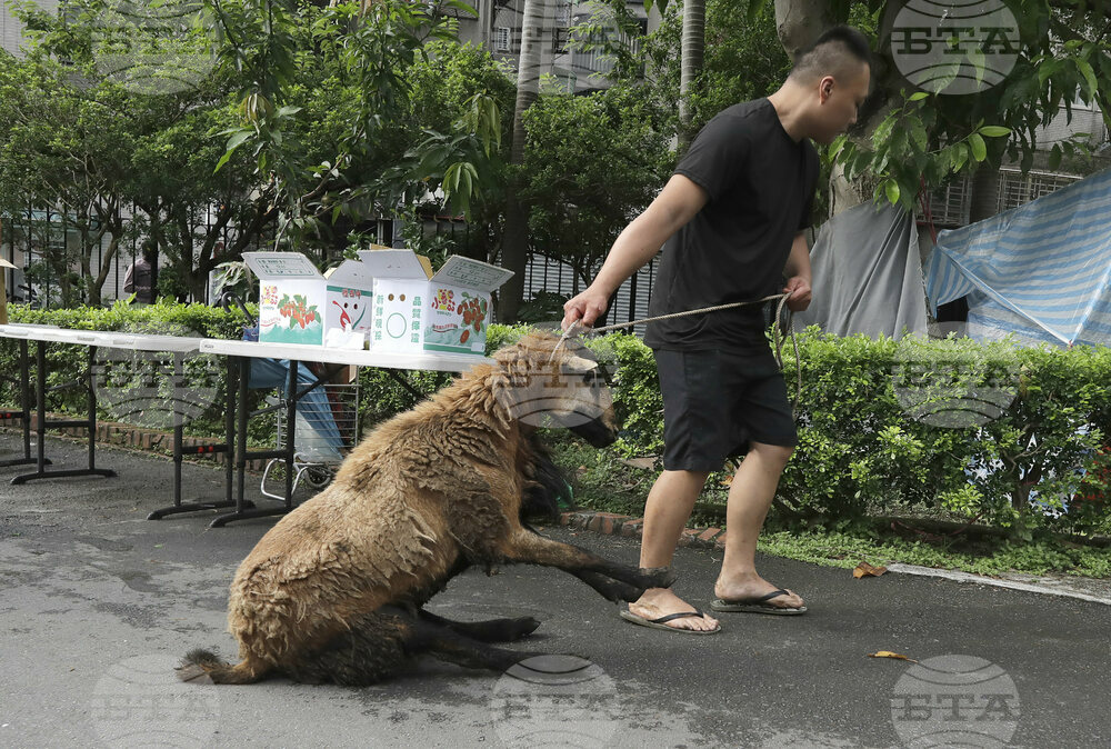 Taiwan Eid al-Adha