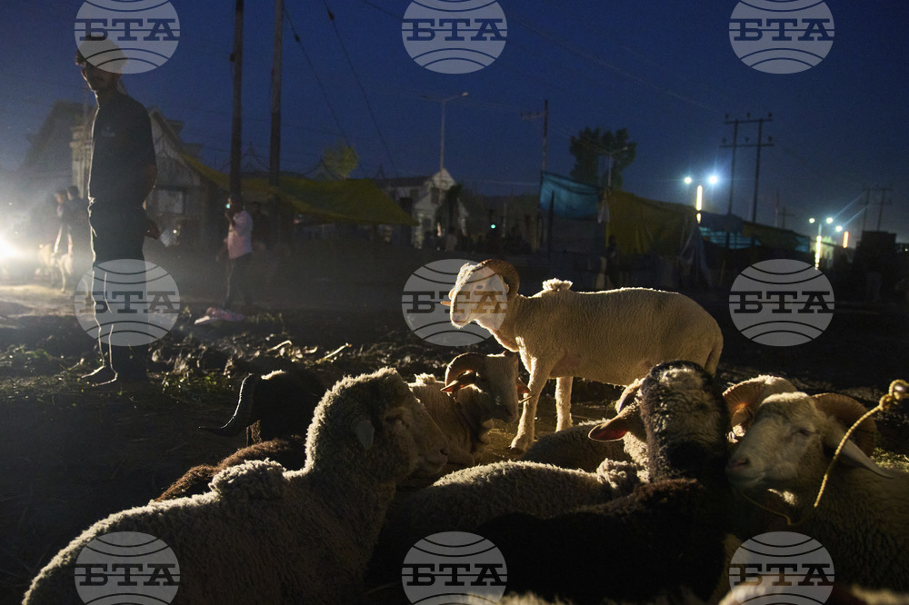 India Kashmir Eid al Adha