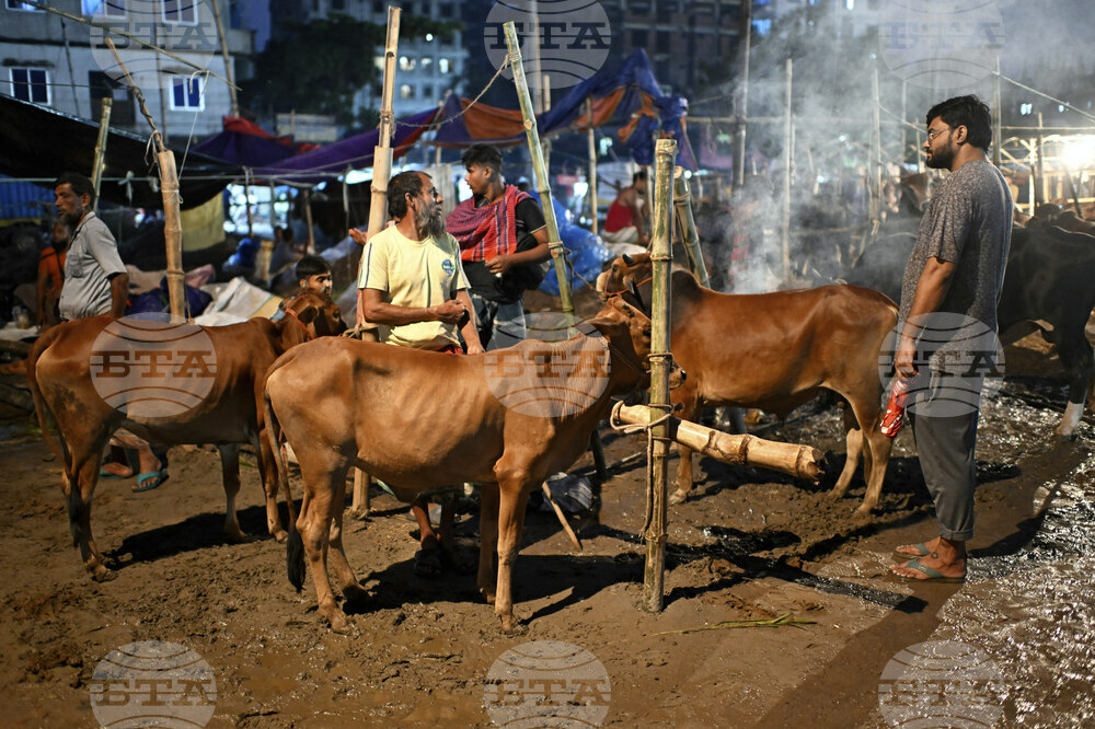Bangladesh Eid al Adha