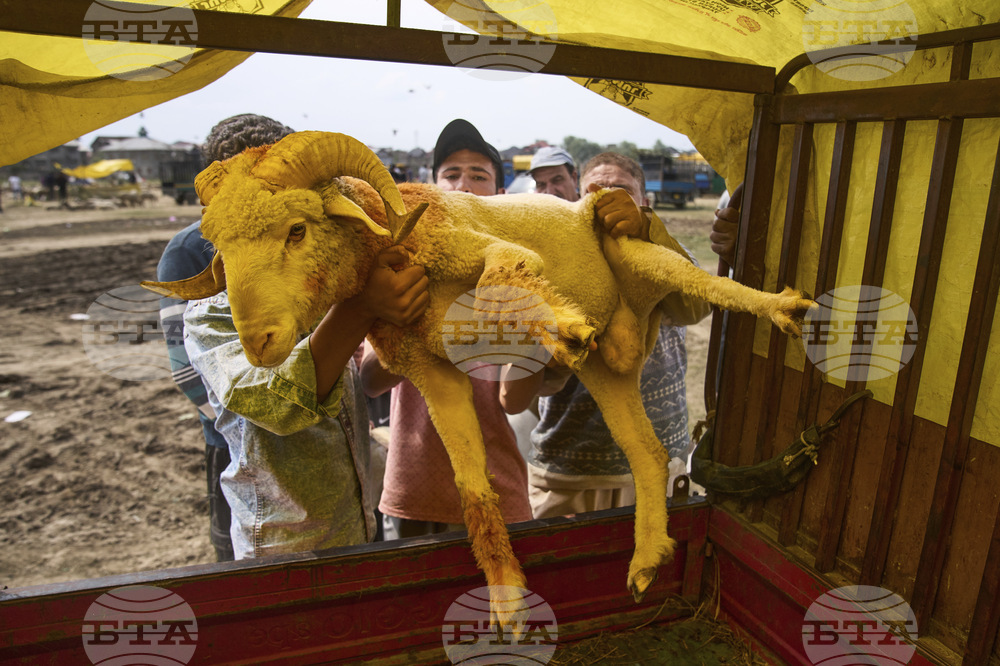 India Kashmir Eid al Adha