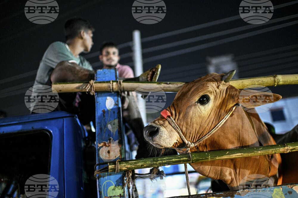 Bangladesh Eid al Adha