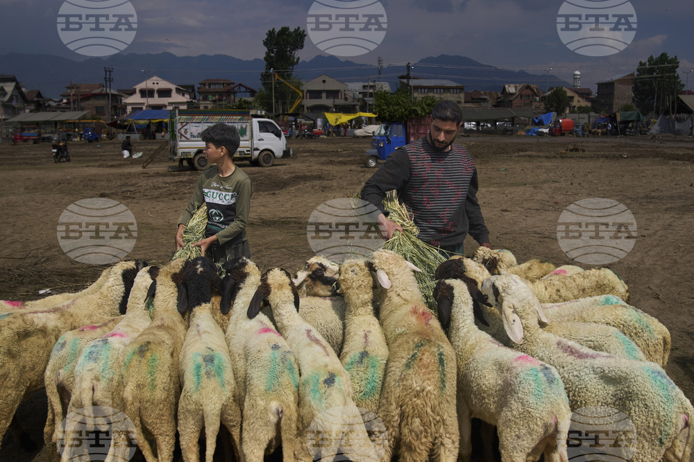 India Kashmir Eid al Adha