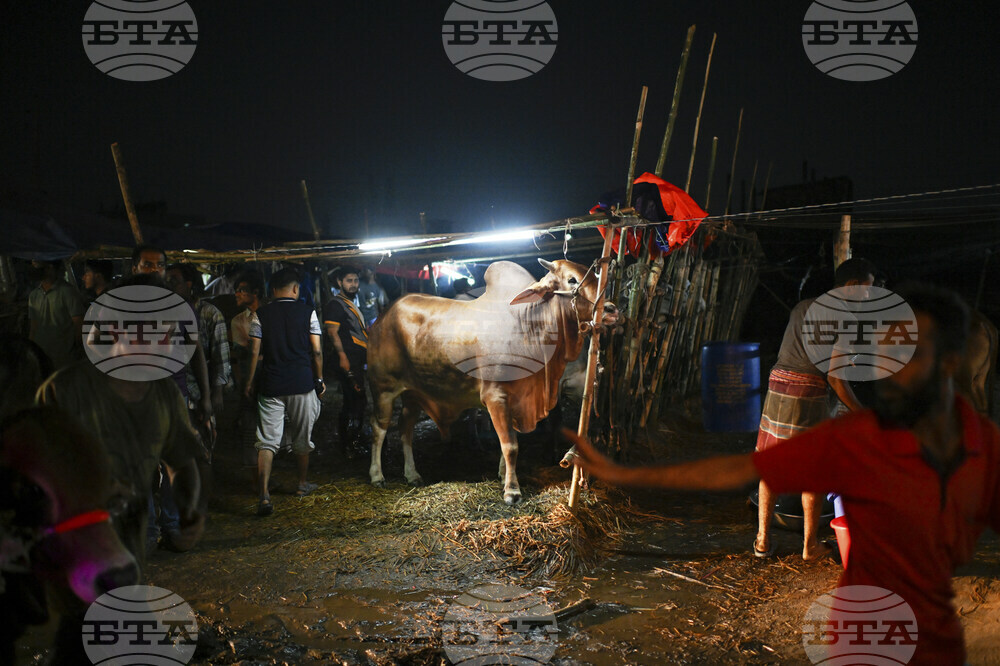 Bangladesh Eid al Adha