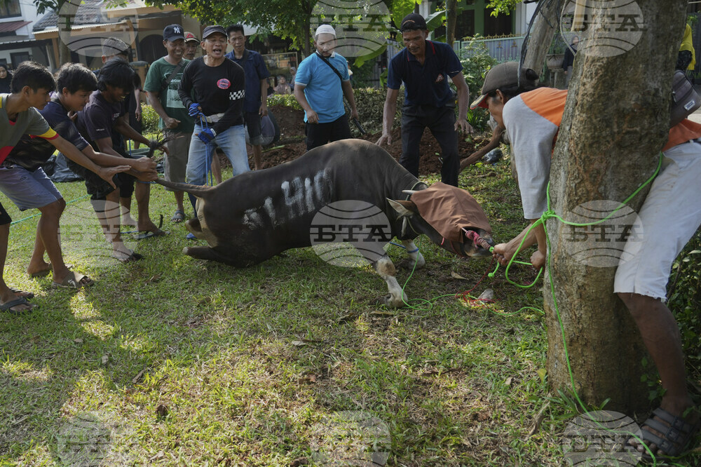 Indonesia Eid al-Adha
