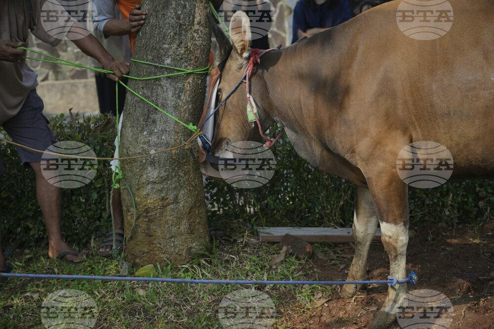 Indonesia Eid al-Adha