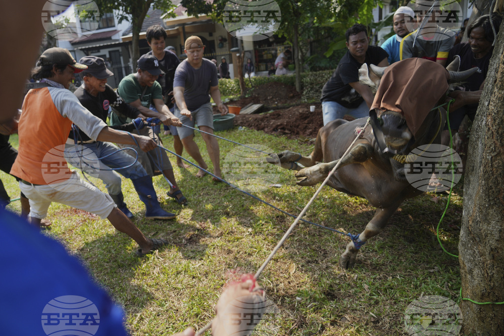 Indonesia Eid al-Adha