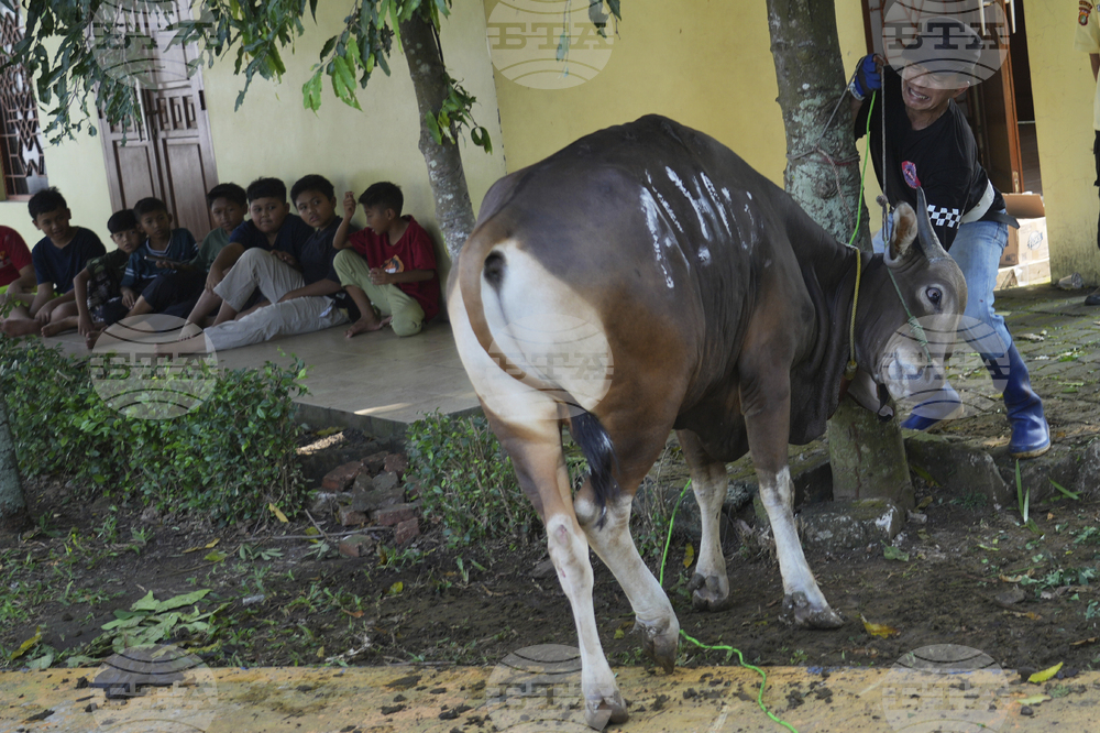 Indonesia Eid al-Adha