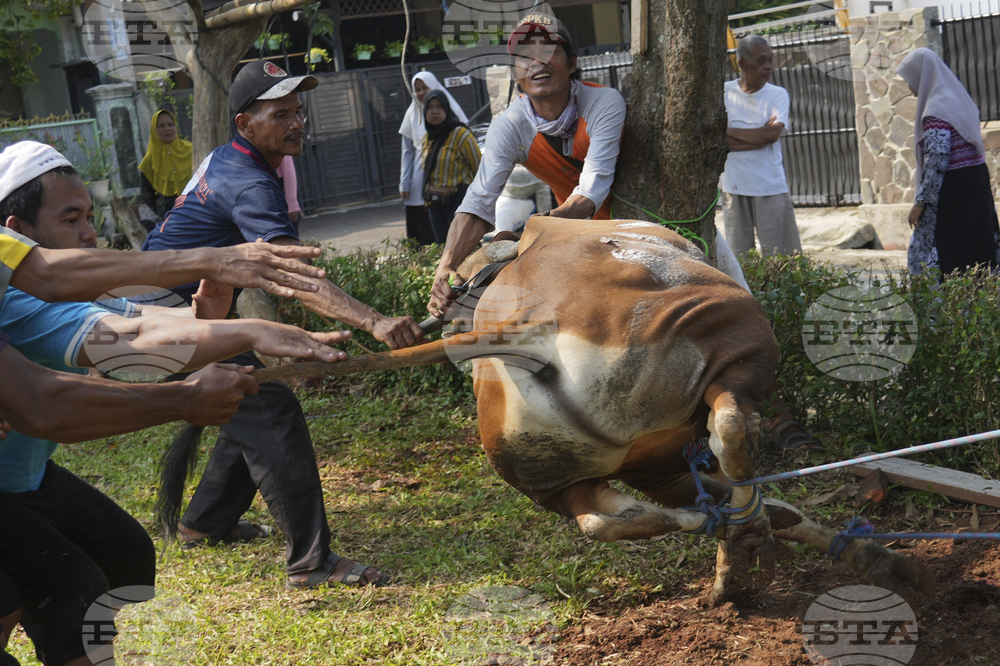 Indonesia Eid al-Adha
