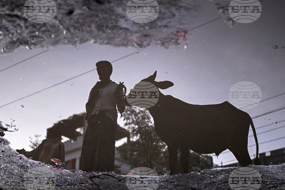 APTOPIX Bangladesh Eid al Adha