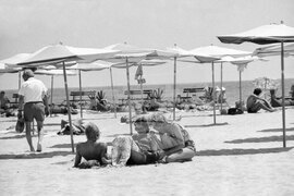 Из курортният комплекс Албена