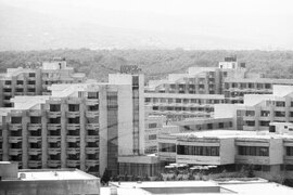 Из курортният комплекс Албена