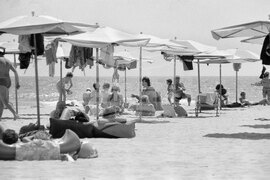 Из курортният комплекс Албена