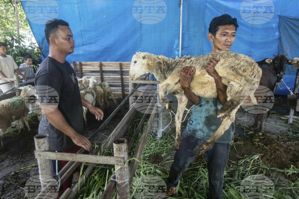 Indonesia Eid al-Adha