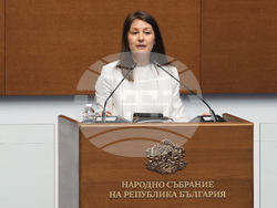 Народно събрание - парламентарен контрол