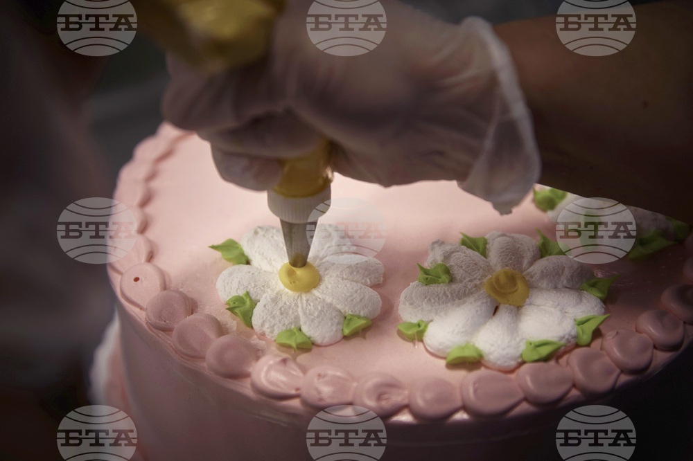 Walmart Cake Decorators