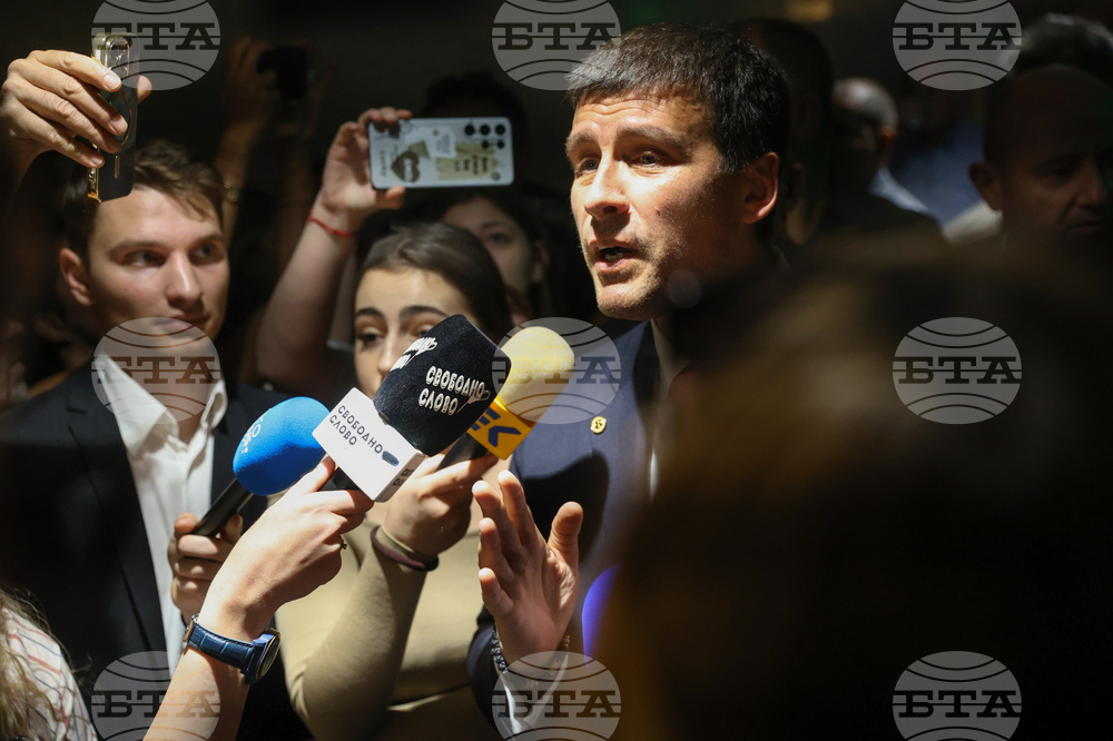 Velichie: Constitutional Court's Decision Was Expected