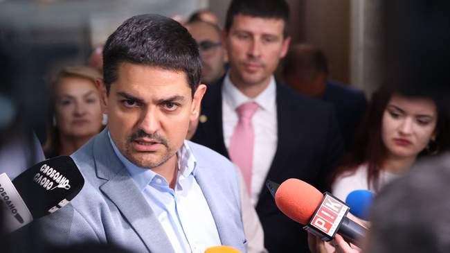 MECh Leader: MECh Is the Only Opposition to Peevski and Borissov