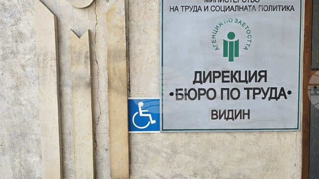 Учителите са сред най-търсените специалисти в област Видин