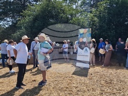 Кубрат - Ден на пшеницата