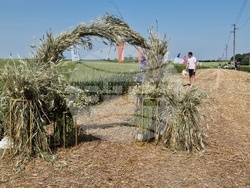 Кубрат - Ден на пшеницата