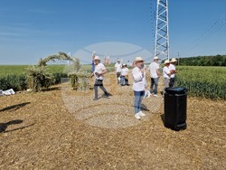 Кубрат - Ден на пшеницата