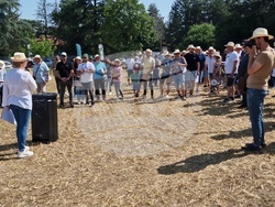 Кубрат - Ден на пшеницата