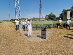 Кубрат - Ден на пшеницата