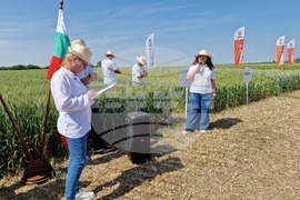 Кубрат - Ден на пшеницата