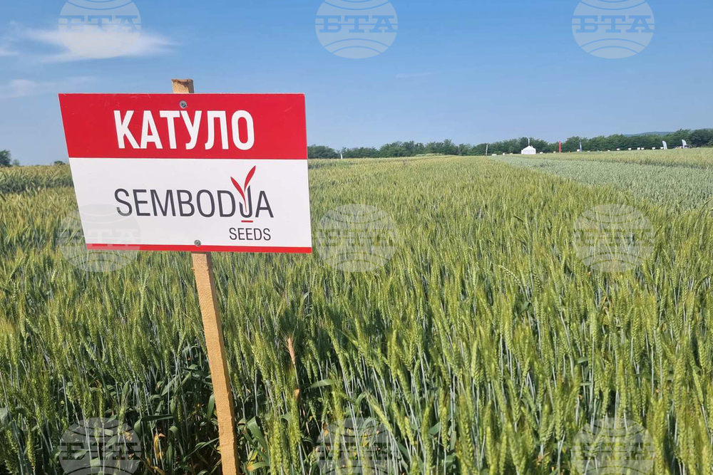 Стара Загора - представяне иновативни сортове житни култури