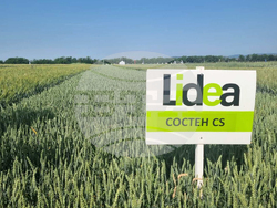 Стара Загора - представяне иновативни сортове житни култури