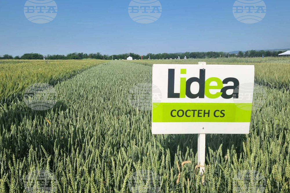 Стара Загора - представяне иновативни сортове житни култури