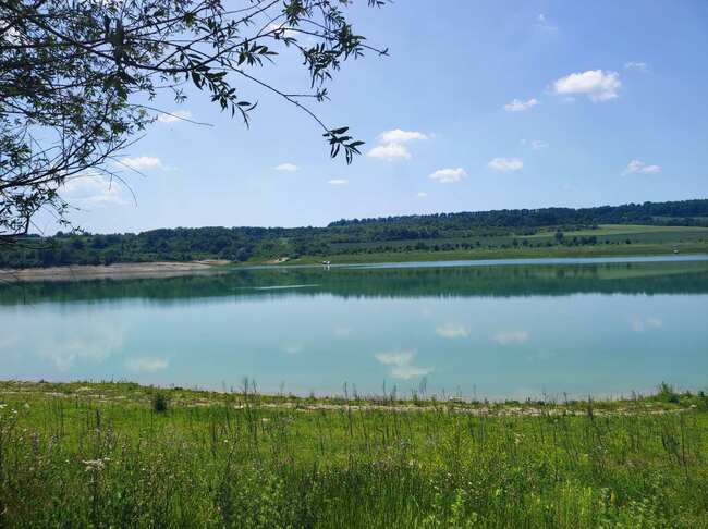 Община Шумен: На 10 юни се зарибява яз. „Тича“ с 2 200 000 личинки толстолоб, както реши Общинският съвет през март