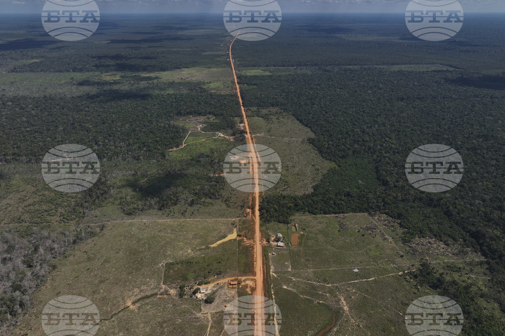 Brazil Amazon Deforestation