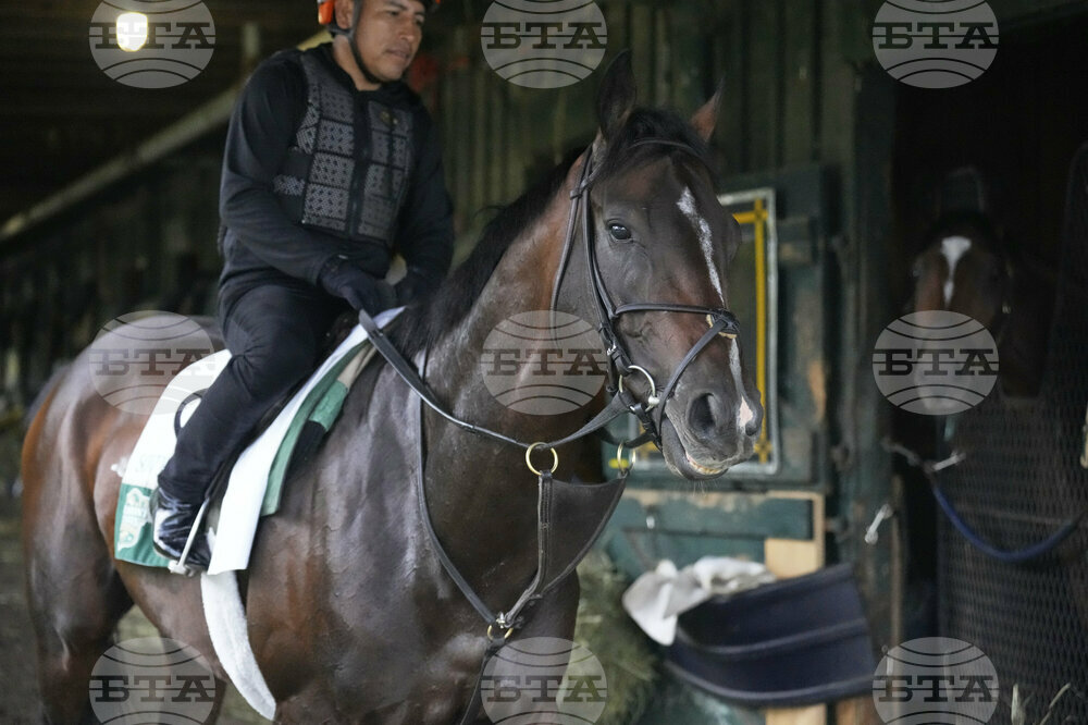 Belmont Horse Racing